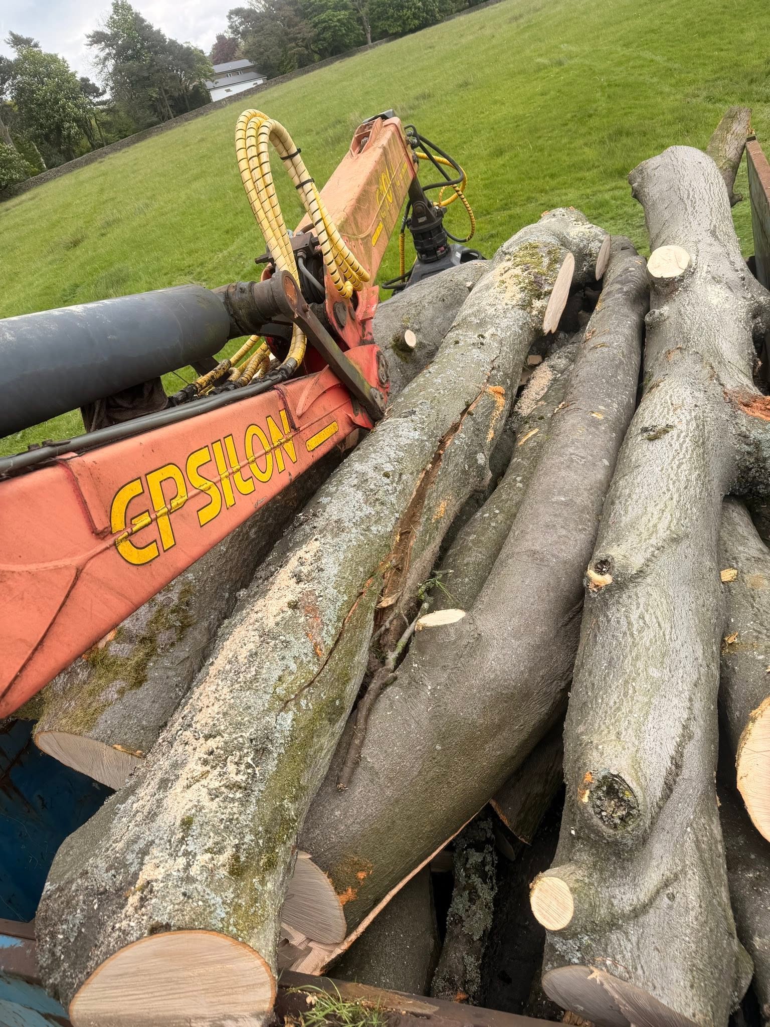 Timber loaded onto a trailer during Chevin’s tree work