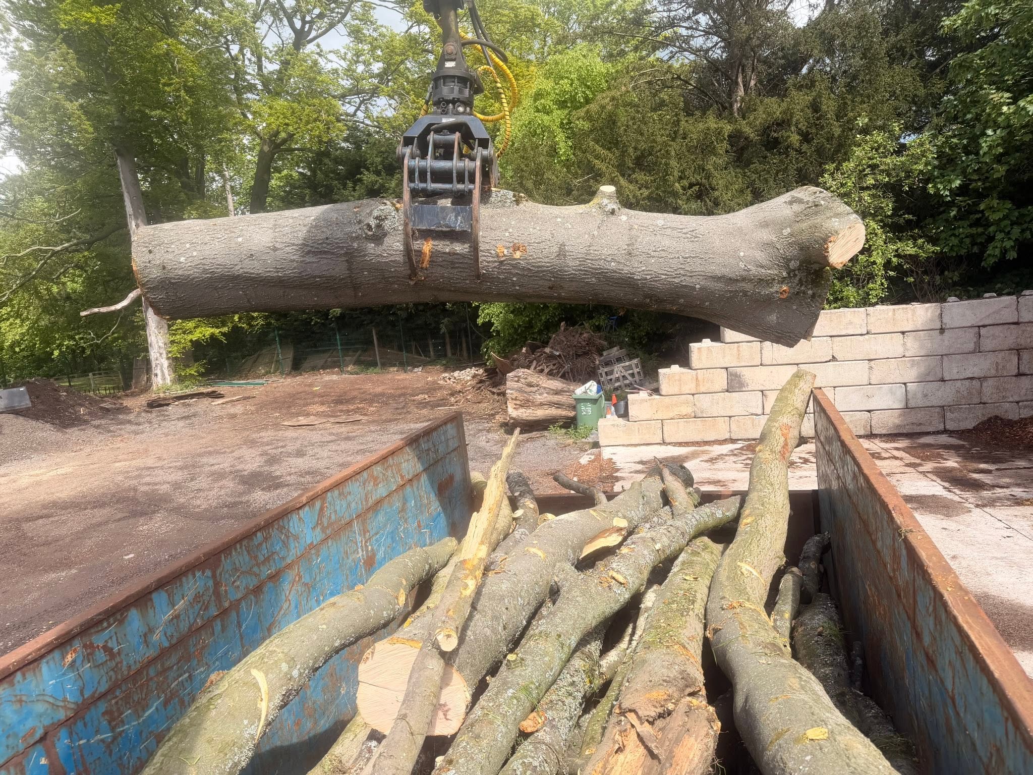 Cut timber being carefully loaded onto a trailer